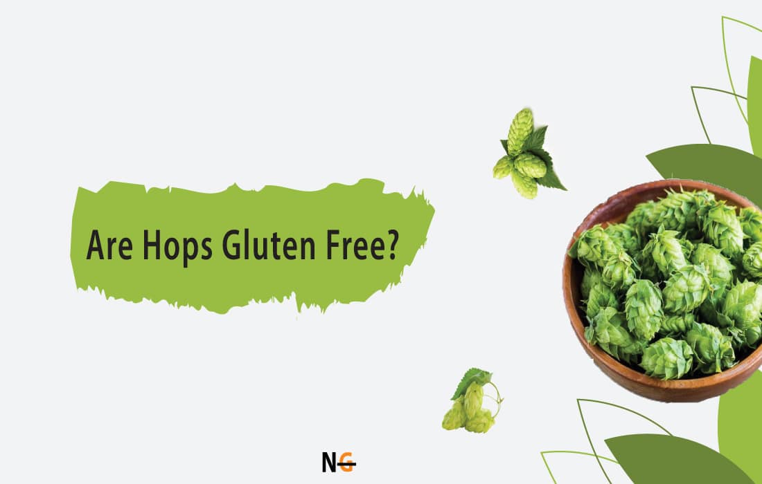 Are Hops Gluten Free