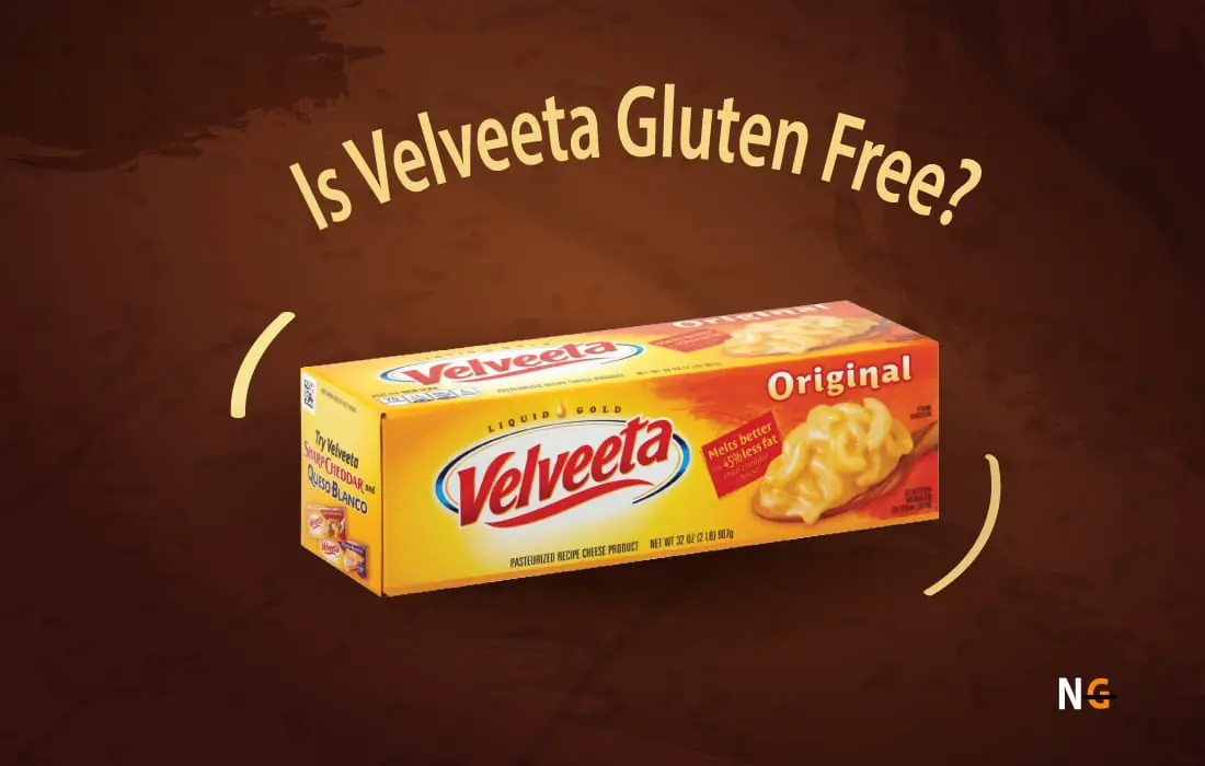 Is Velveeta Gluten free