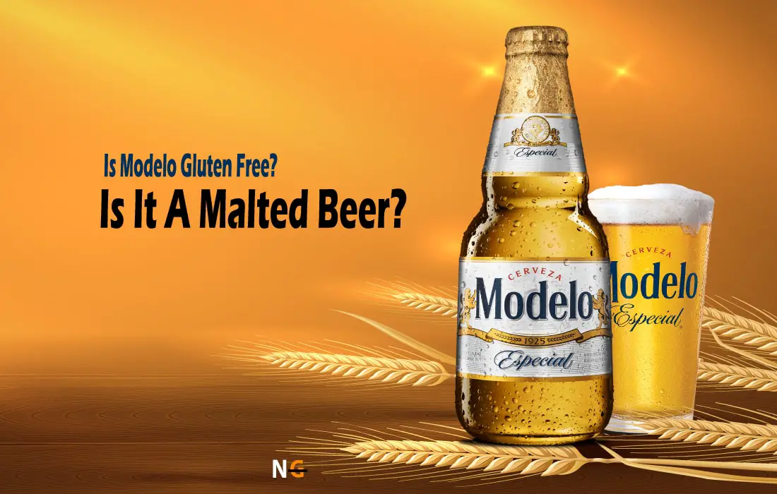 Is Modelo Gluten Free